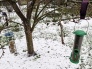 2511 Kartsupaelad 01b v.jpg